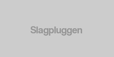 Slagpluggen